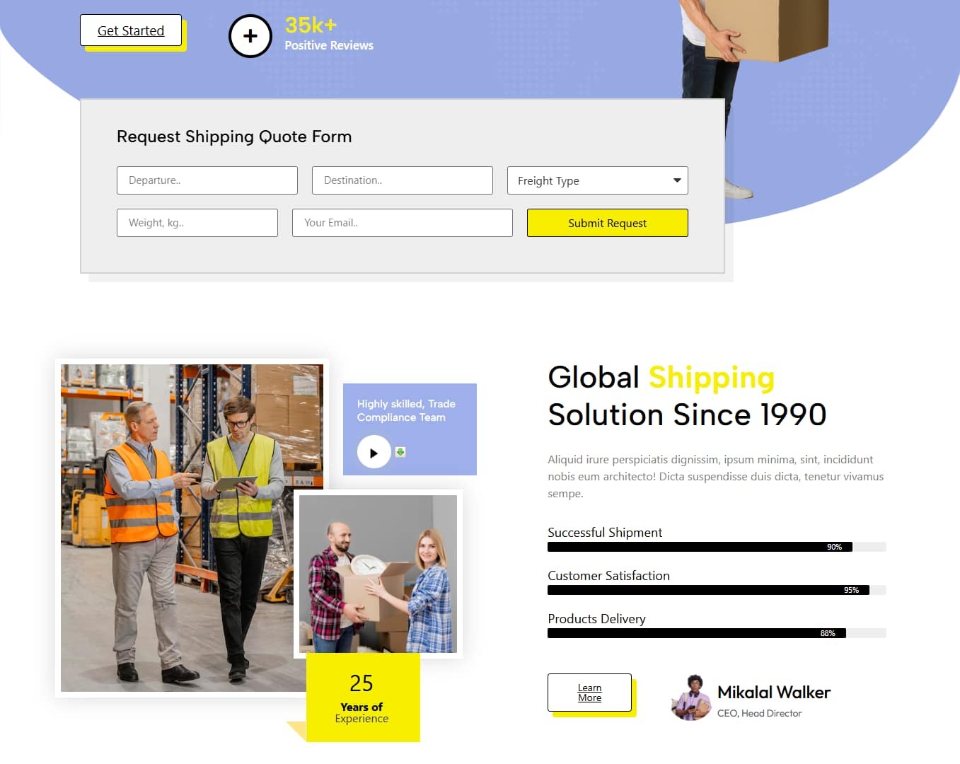 Elementor Pro expert website design service