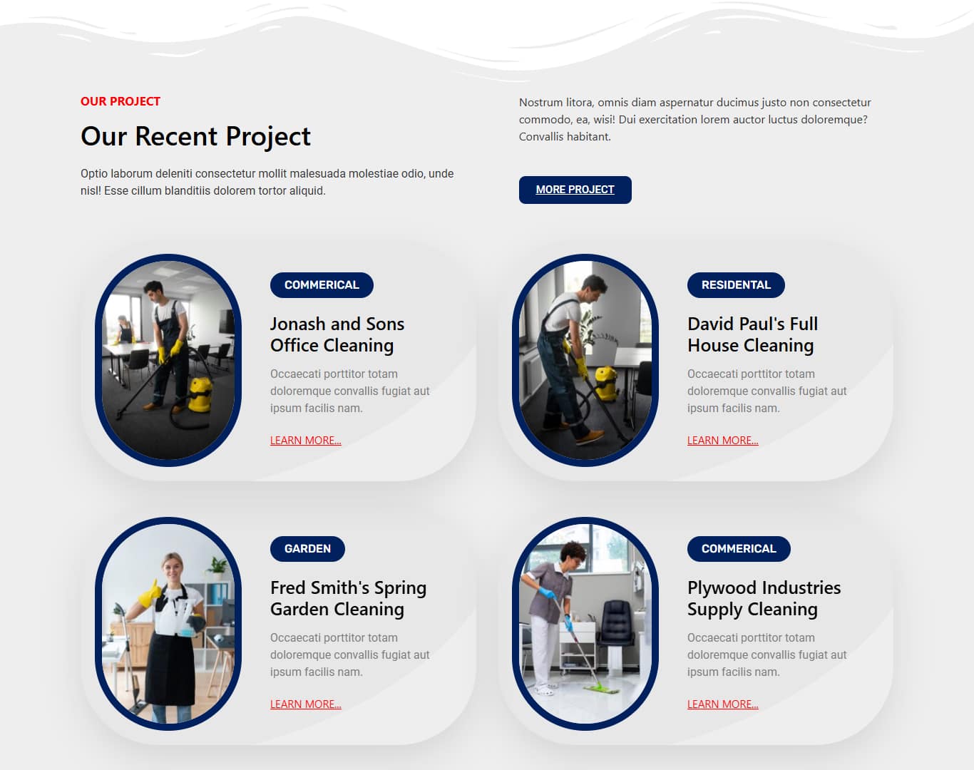 WordPress theme customization service by Raja Saeed