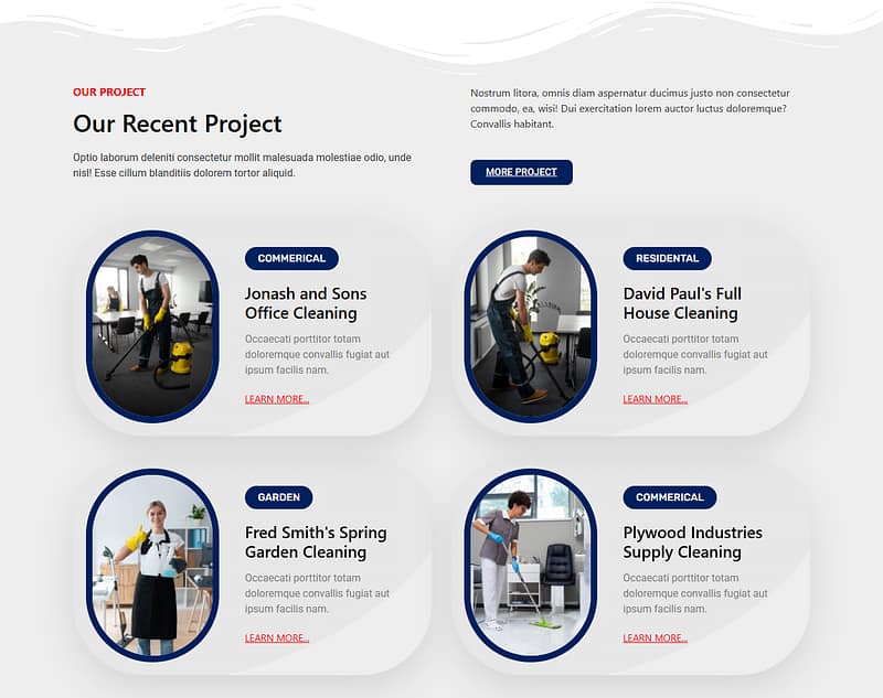 WordPress theme customization service by Raja Saeed